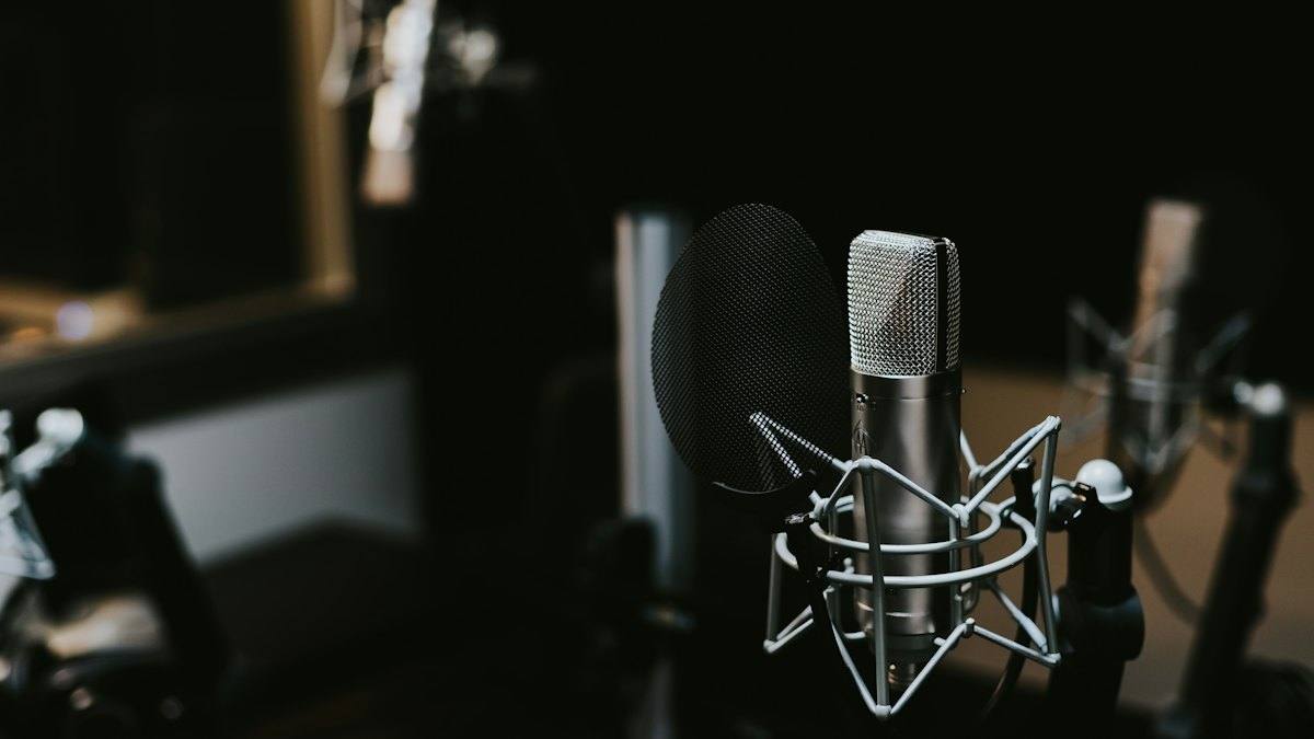 Studio condenser microphone on a stand in a dim room